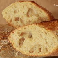 Baguette t65 5348 copie