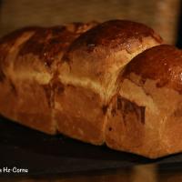 Brioche8503 copie