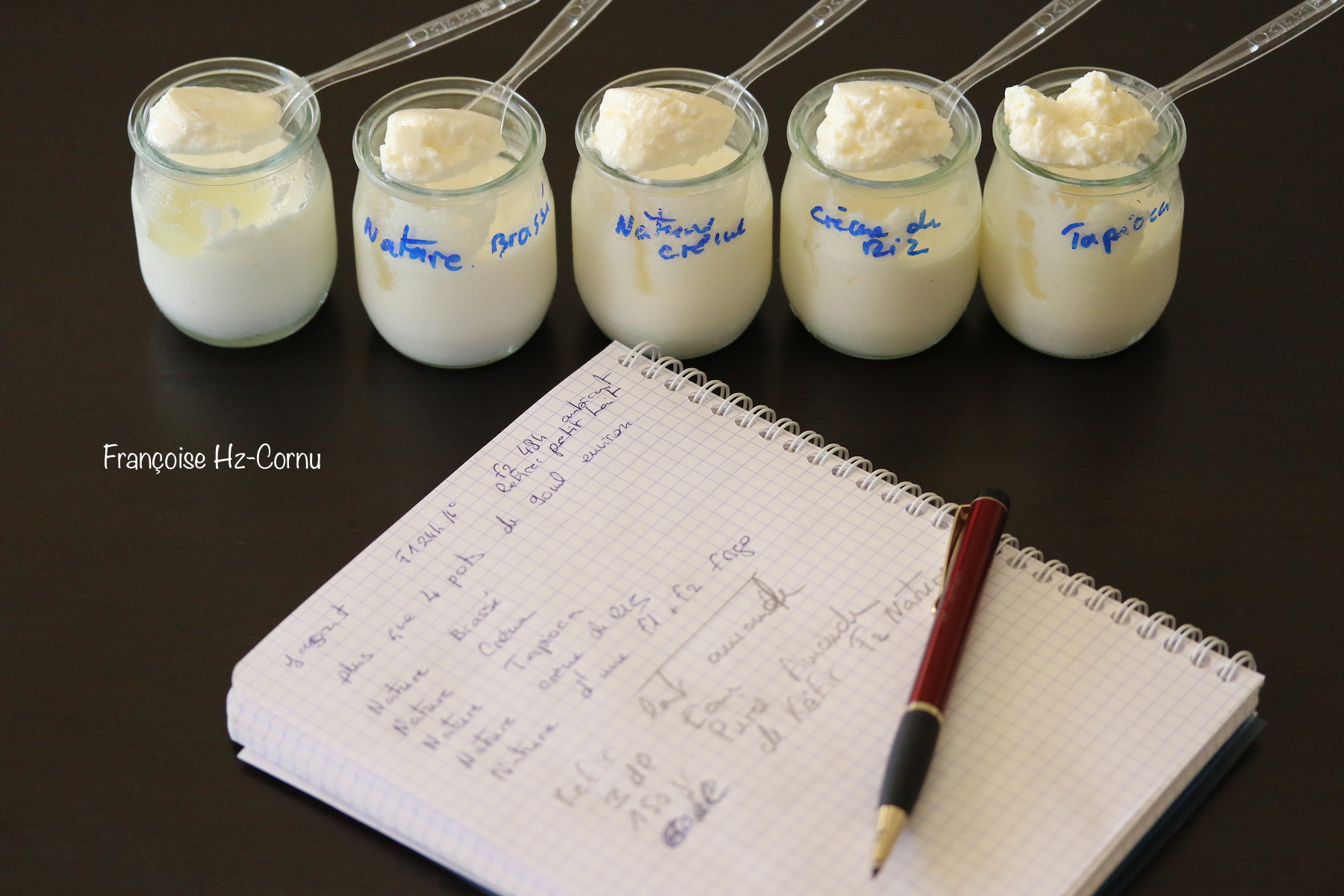 Yaourt de Kéfir Etude comparative.