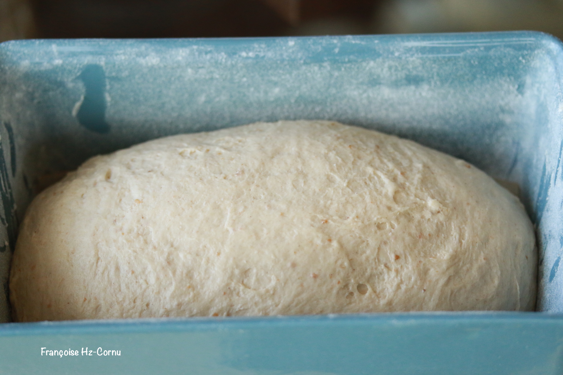 Façonner votre pâte. 2ème pousse d'une heure