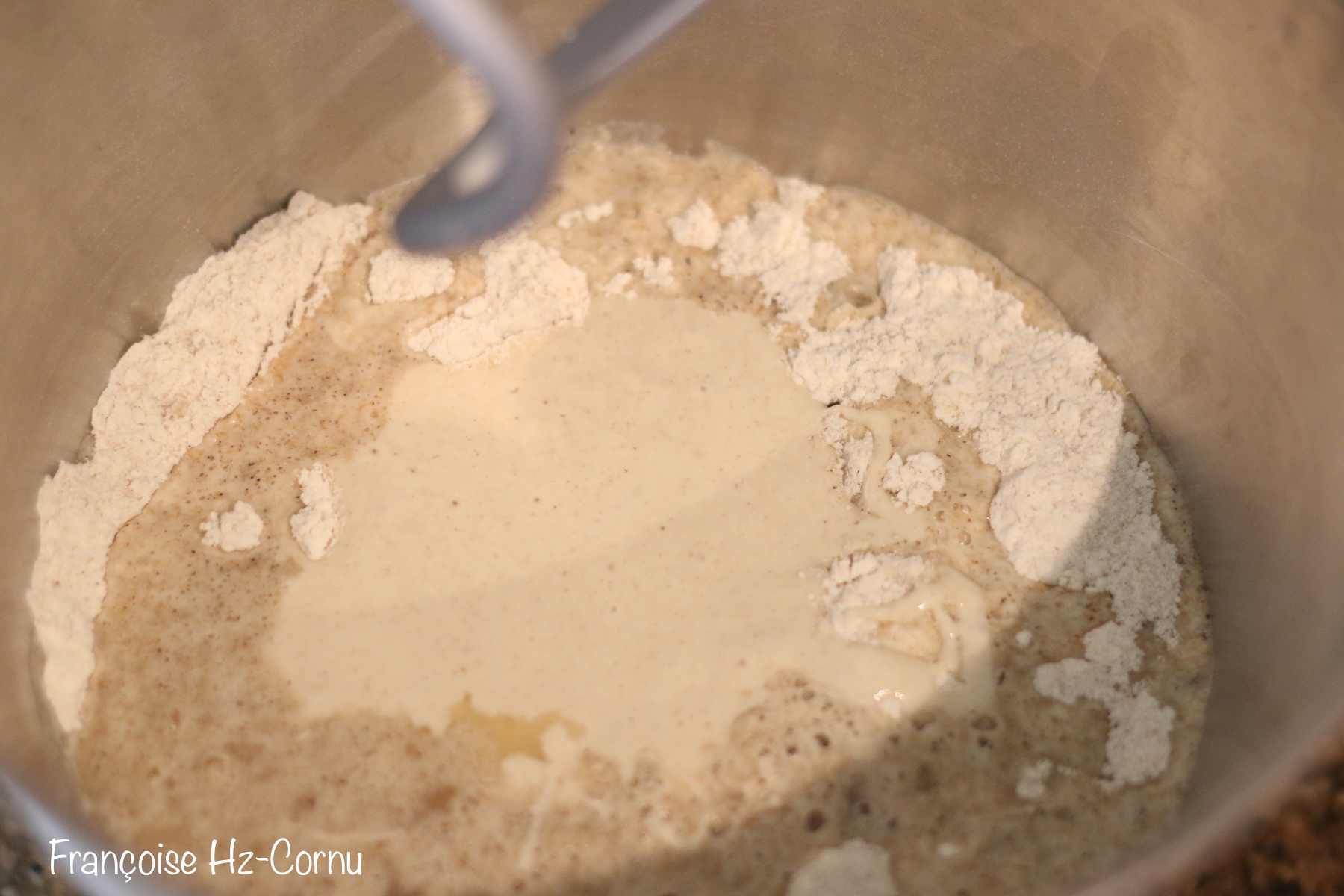 Délayer le malt dans le petit lait tiédi à max37° et tout mélanger avec le crochet pétrisseur