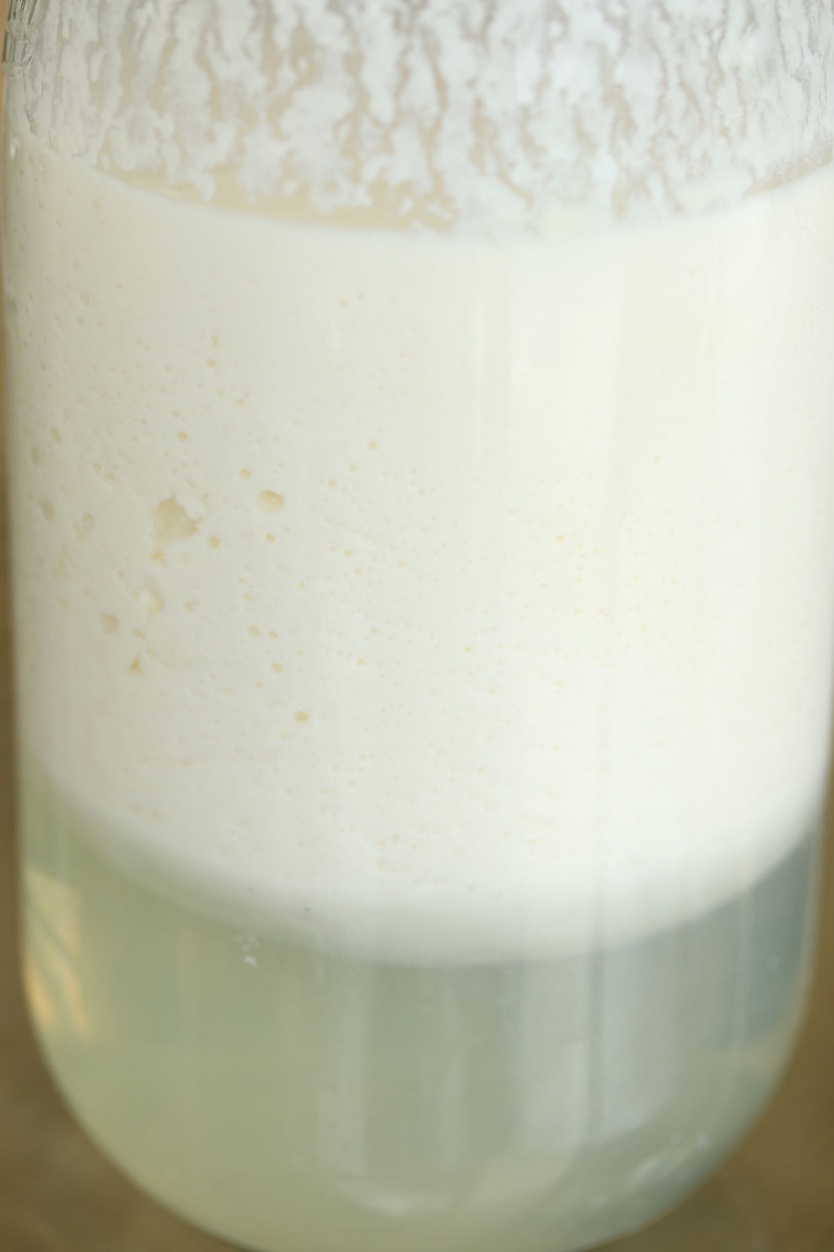 Kéfir 2ème fermentation 48, séparation du petit lait